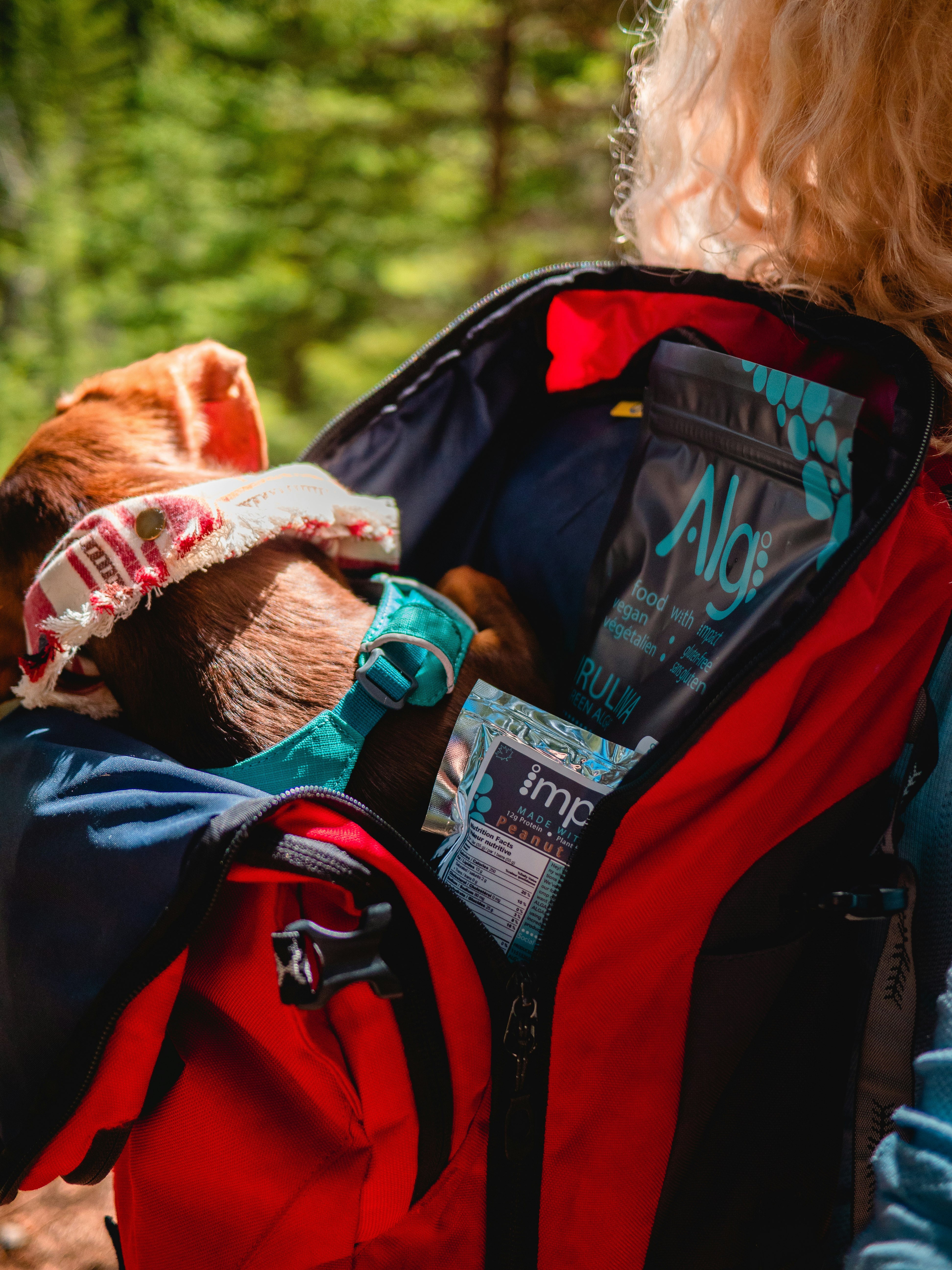 woman in red and black jacket carrying baby in blue jacket